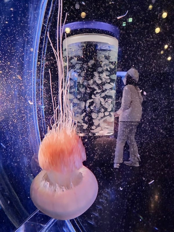 20221130_164651.jpg 20221130_164651.jpg