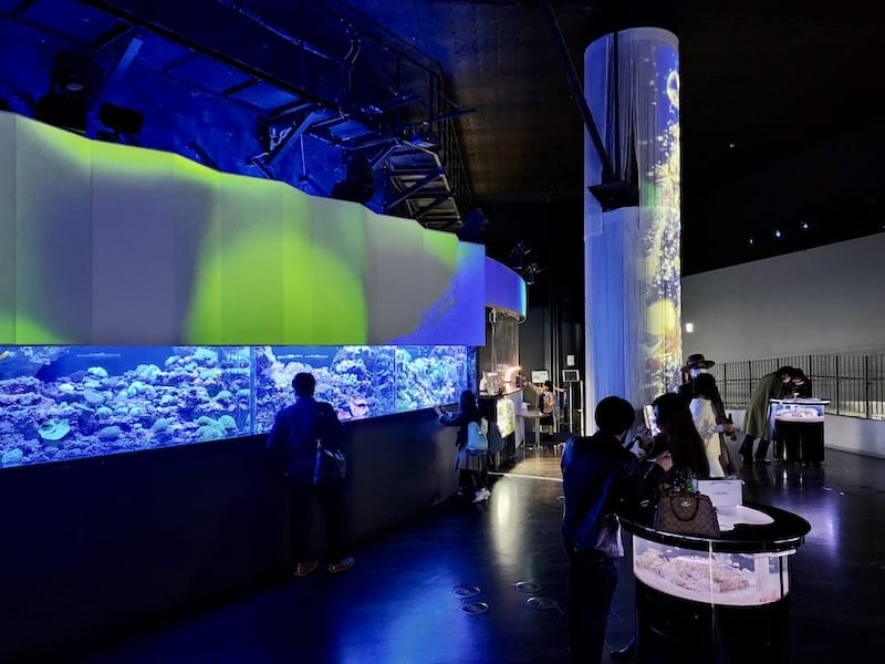 20221130_164304.jpg 20221130_164304.jpg