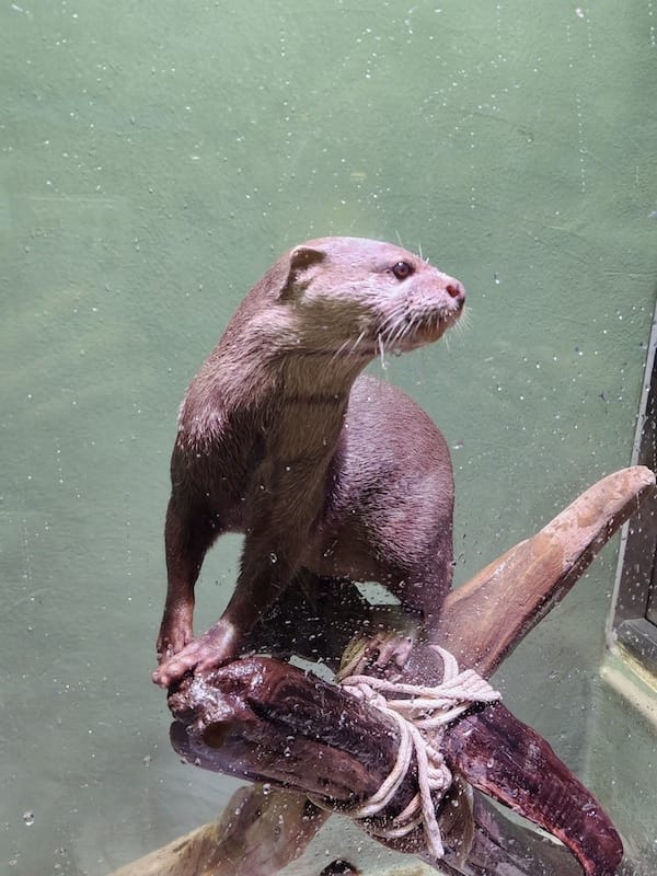 20221130_154213.jpg 20221130_154213.jpg