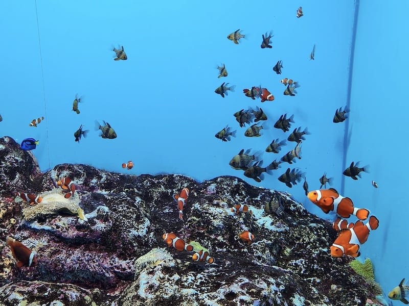 20230503_140021.jpg 20230503_140021.jpg