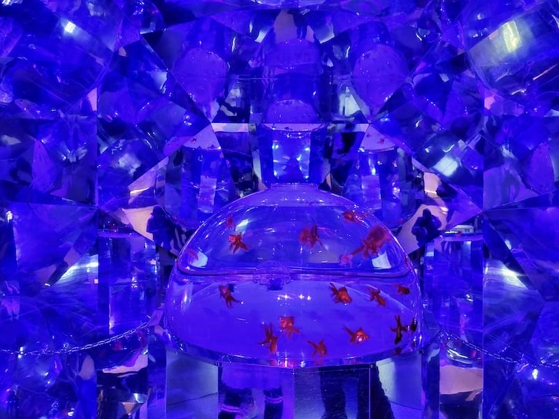 20230503_135642.jpg 20230503_135642.jpg