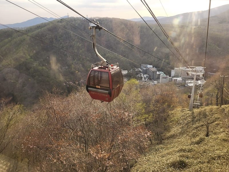 20230503_171919.jpg 20230503_171919.jpg