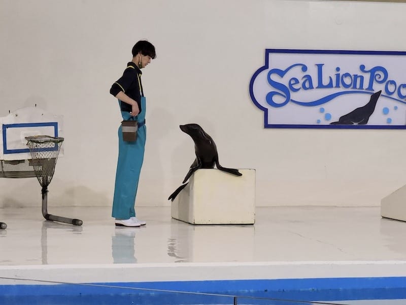 20230503_153049.jpg 20230503_153049.jpg