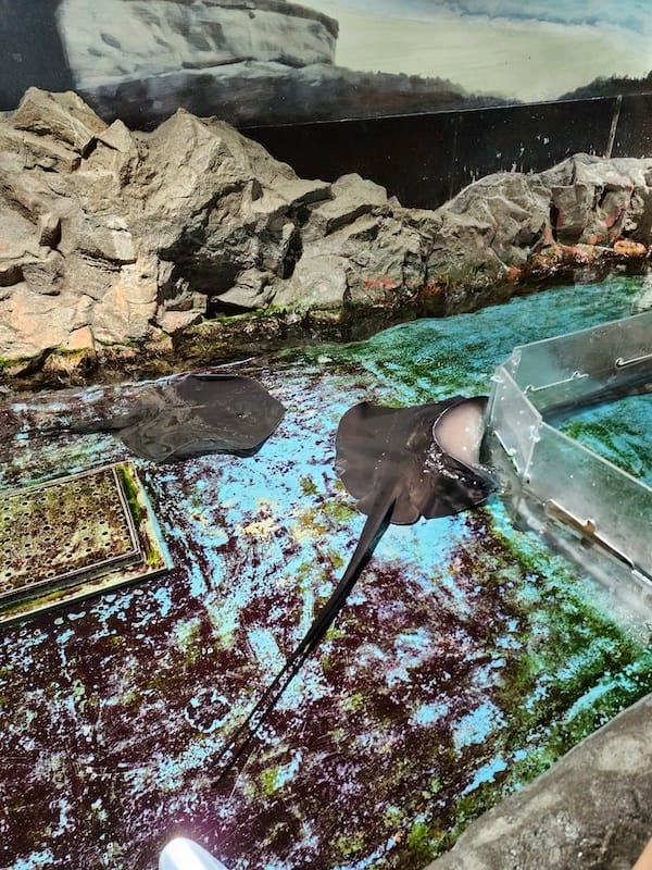 20230503_135431.jpg 20230503_135431.jpg