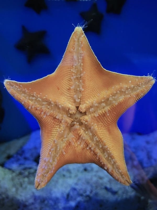 20230503_140325.jpg 20230503_140325.jpg