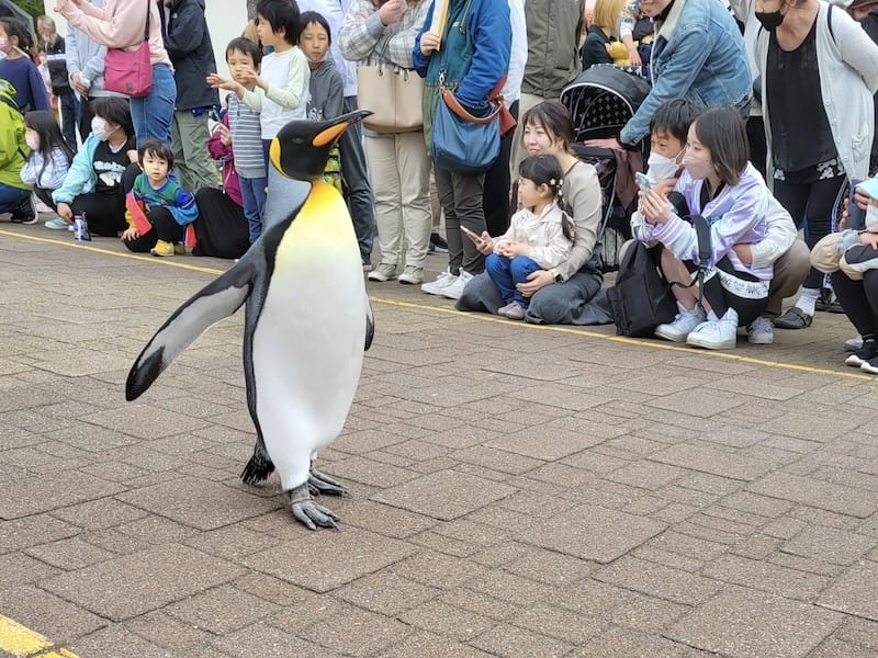 20230503_150446.jpg 20230503_150446.jpg