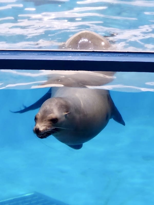 20230503_154157.jpg 20230503_154157.jpg