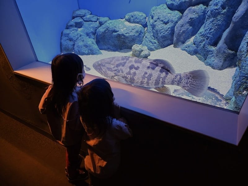 20230503_140122.jpg 20230503_140122.jpg