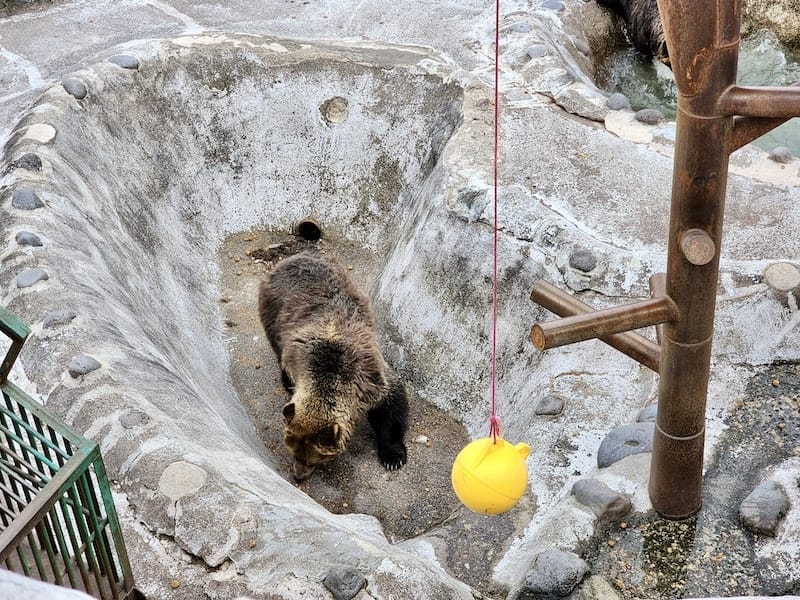 20230503_163655.jpg 20230503_163655.jpg