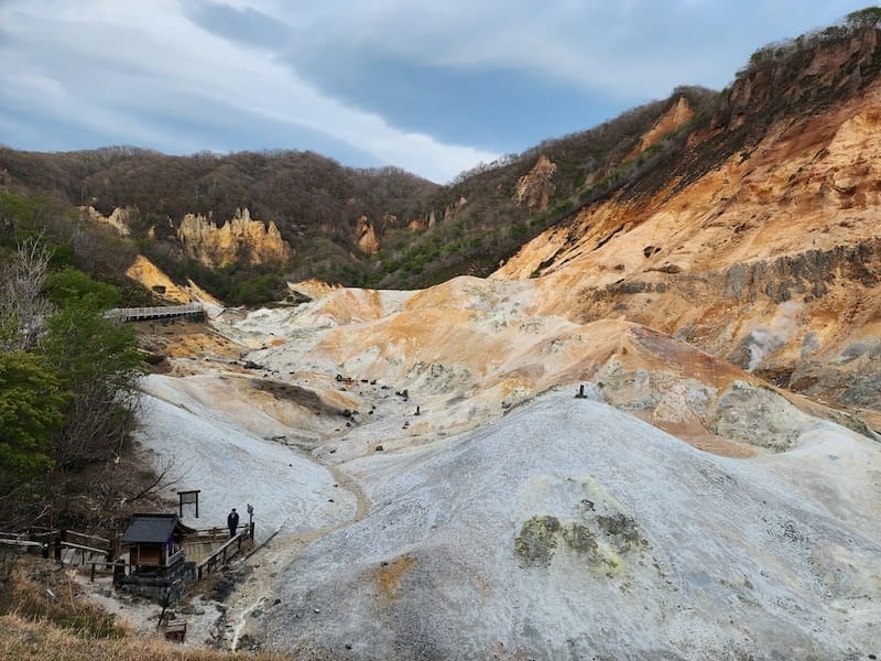 20230503_174020.jpg 20230503_174020.jpg