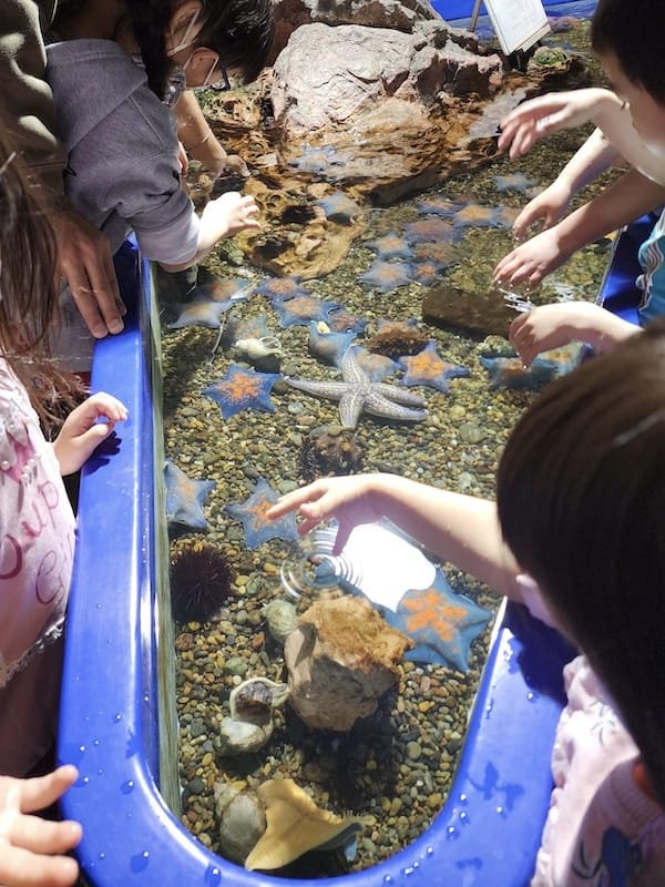 20230503_134922.jpg 20230503_134922.jpg