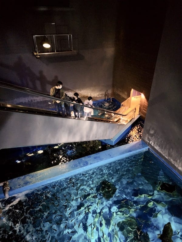 20230503_134538.jpg 20230503_134538.jpg