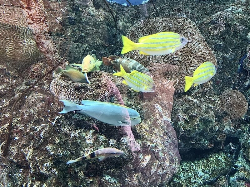 20230503_134350.jpg 20230503_134350.jpg