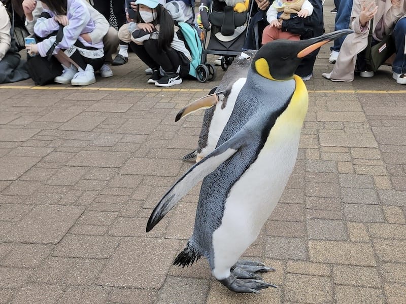 20230503_150455.jpg 20230503_150455.jpg