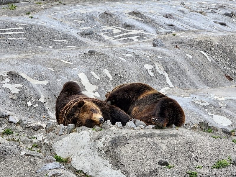 20230503_164322.jpg 20230503_164322.jpg