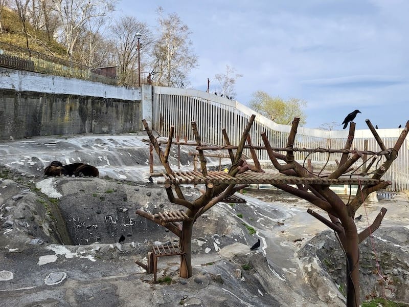 20230503_164345.jpg 20230503_164345.jpg