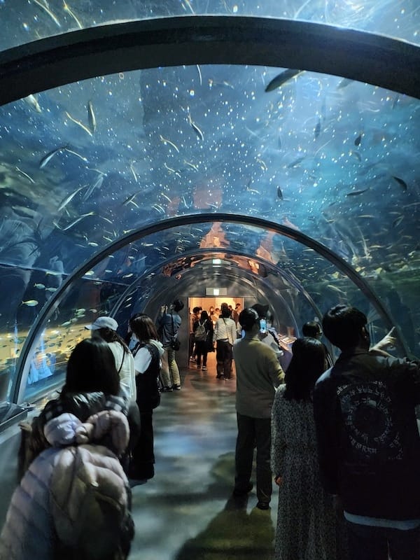 20230503_141635.jpg 20230503_141635.jpg