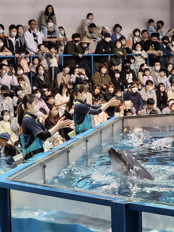 20230503_143110.jpg 20230503_143110.jpg