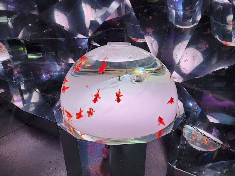 20230503_135606.jpg 20230503_135606.jpg