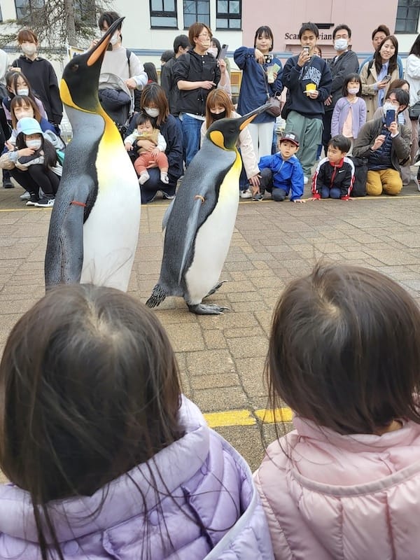 20230503_150509.jpg 20230503_150509.jpg