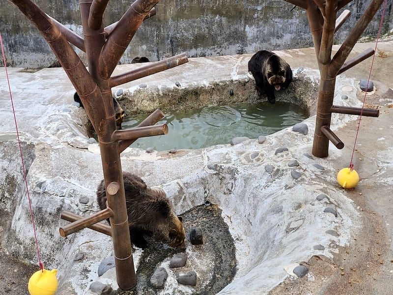 20230503_163532.jpg 20230503_163532.jpg