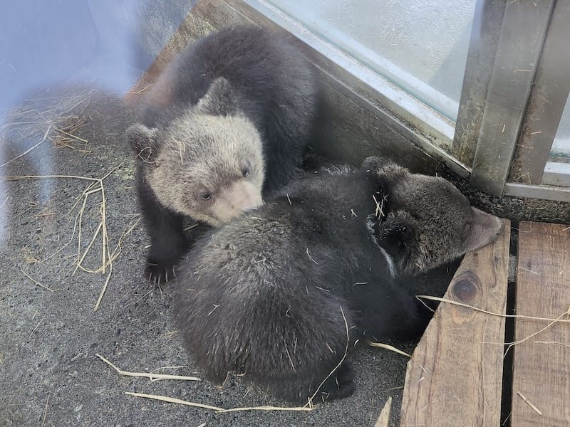 20230503_162216.jpg 20230503_162216.jpg