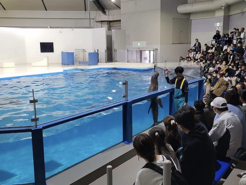 20230503_154101.jpg 20230503_154101.jpg