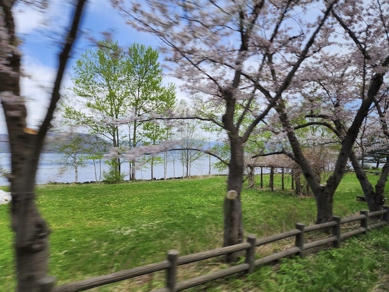 20230503_112010.jpg 20230503_112010.jpg