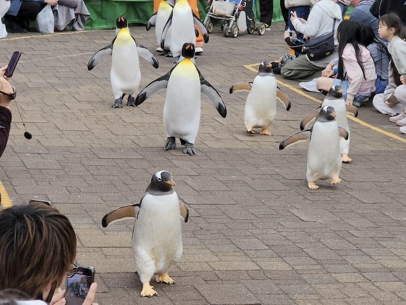 20230503_150423.jpg 20230503_150423.jpg