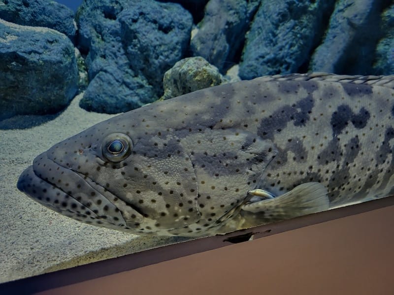 20230503_140139.jpg 20230503_140139.jpg