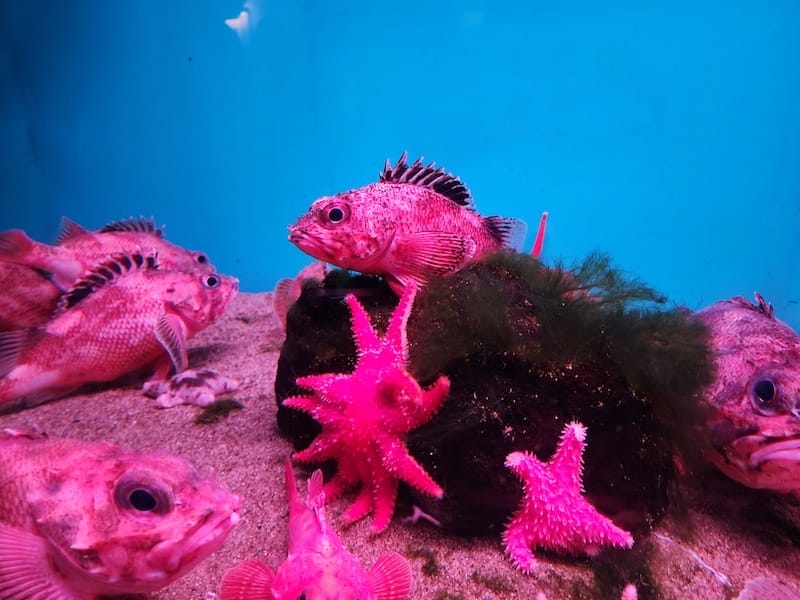 20230503_140348.jpg 20230503_140348.jpg