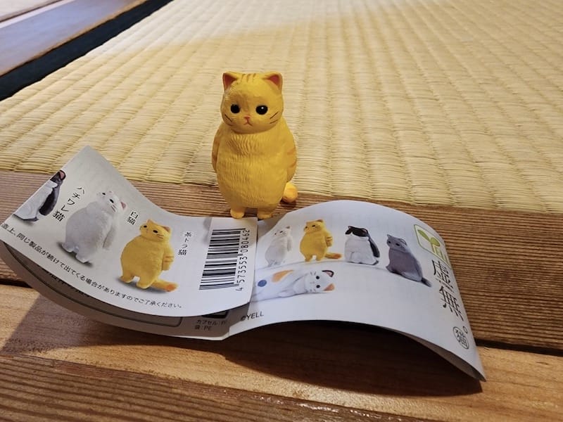 2023-09-24 [台北新北投] 年度孝親旅住宿日勝生