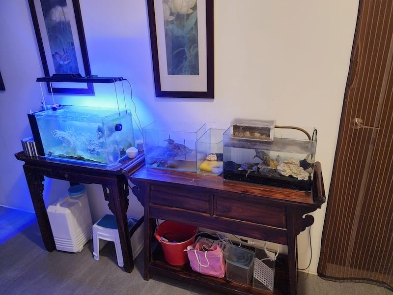 2022-09-25 [宜蘭] 親水89饗樂民宿住在動物園