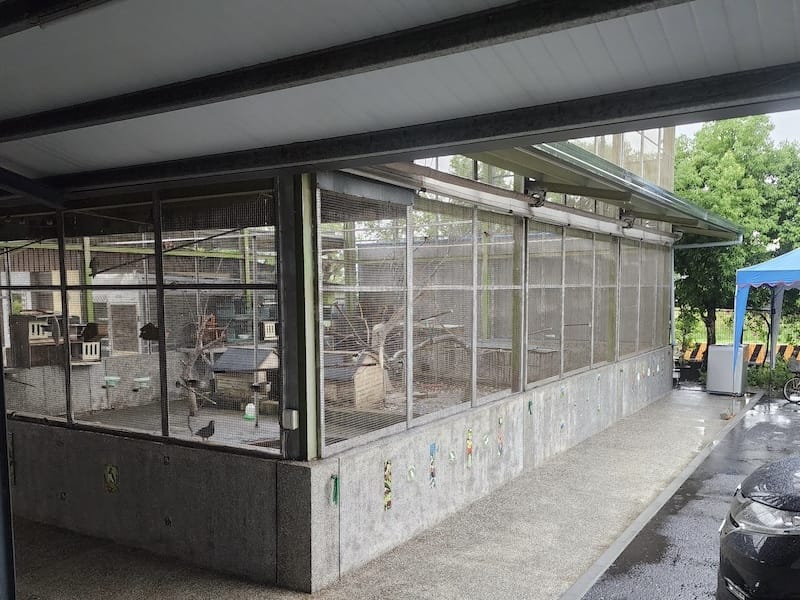 2022-09-25 [宜蘭] 親水89饗樂民宿住在動物園