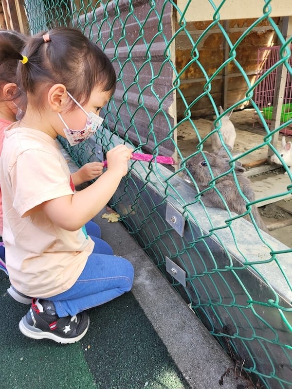 2022-09-25 [宜蘭] 親水89饗樂民宿住在動物園