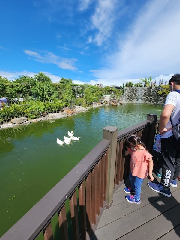 2022-09-25 [宜蘭] 親水89饗樂民宿住在動物園