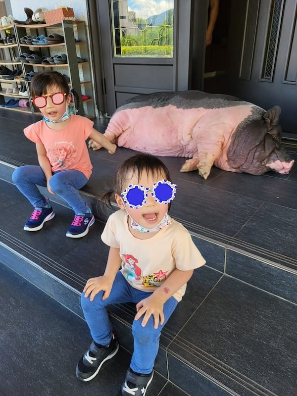 2022-09-25 [宜蘭] 親水89饗樂民宿住在動物園