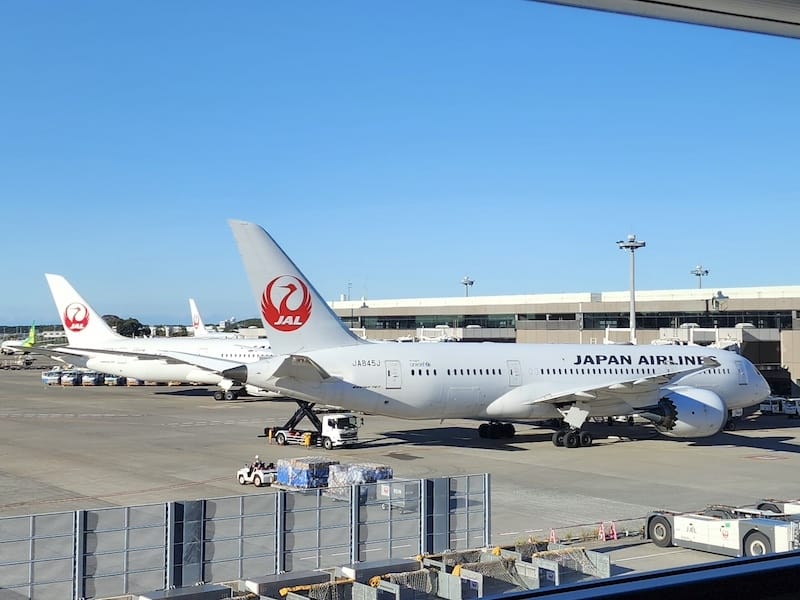 2023-11-19 日本航空JL802 TPE-NRT 