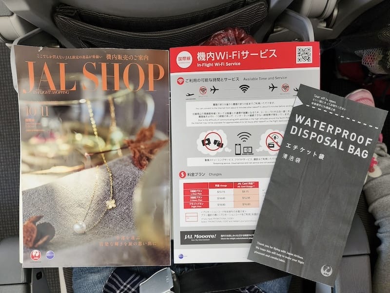 2023-11-19 日本航空JL802 TPE-NRT 