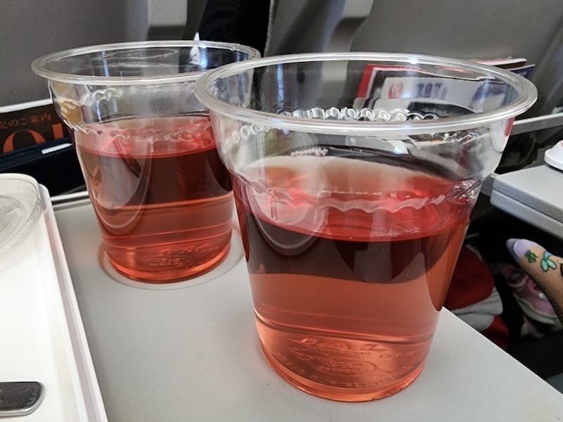 2023-11-19 日本航空JL802 TPE-NRT 