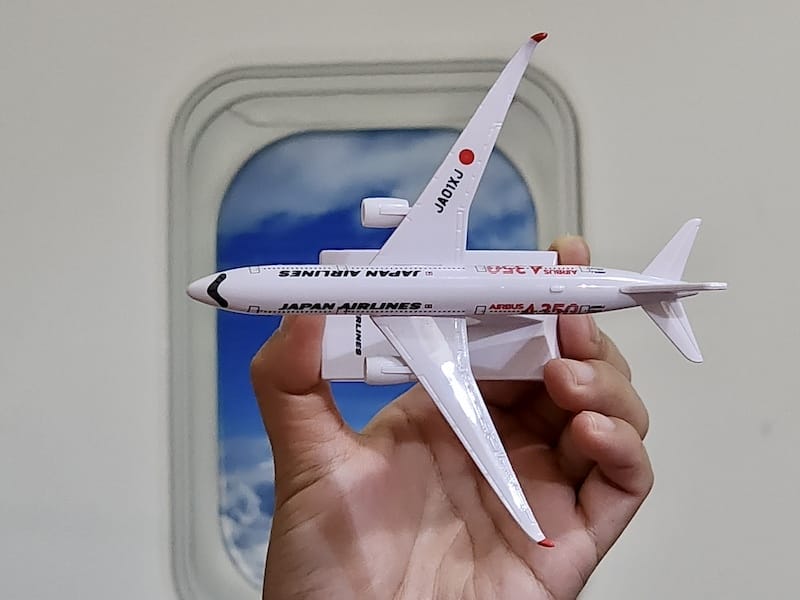 2023-11-19 日本航空JL802 TPE-NRT 