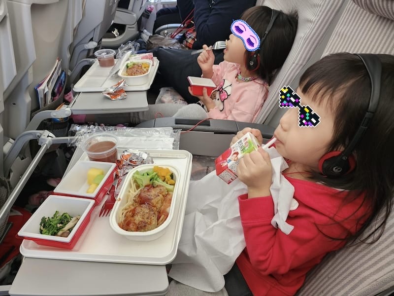 2023-11-19 日本航空JL802 TPE-NRT 