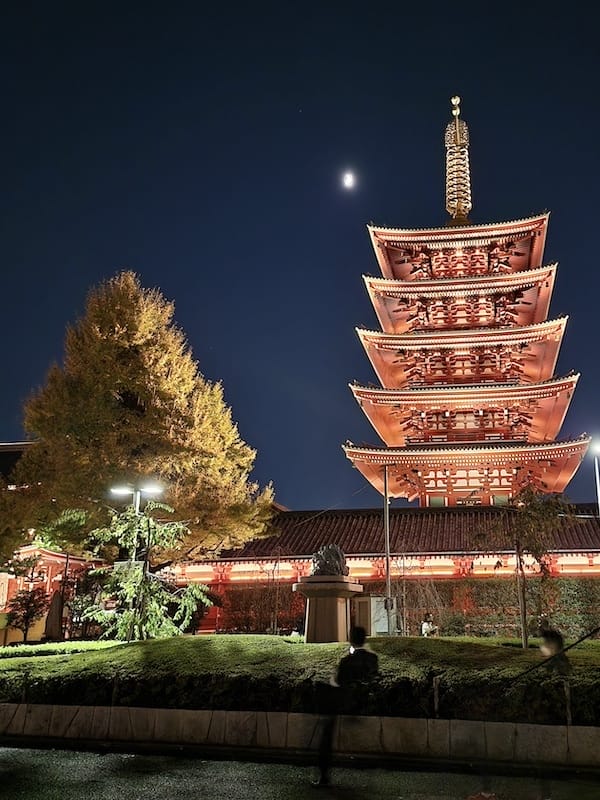 2023-11-20 東京親子賞楓旅Day2-2 鶴屋鰻魚飯 2023-11-20 東京親子賞楓旅Day2-2 鶴屋鰻魚飯