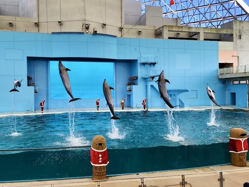 2023-11-21 東京親子賞楓旅Day3 橫濱八景島海島