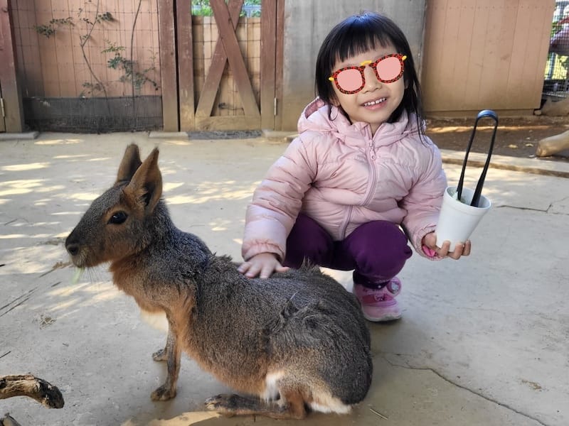 2023-11-21 東京親子賞楓旅Day3 橫濱八景島海島