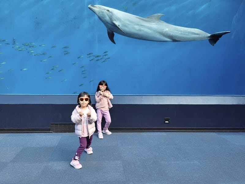 2023-11-21 東京親子賞楓旅Day3 橫濱八景島海島