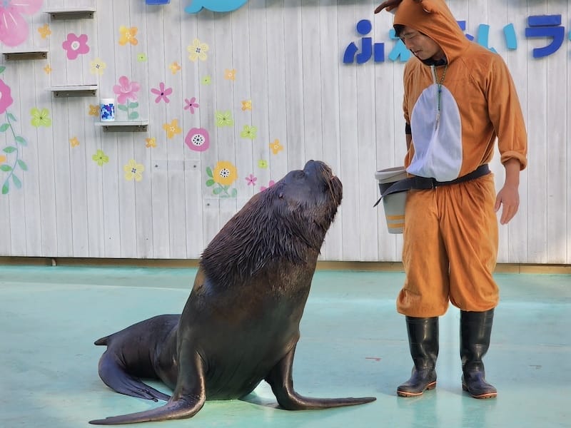 2023-11-21 東京親子賞楓旅Day3 橫濱八景島海島