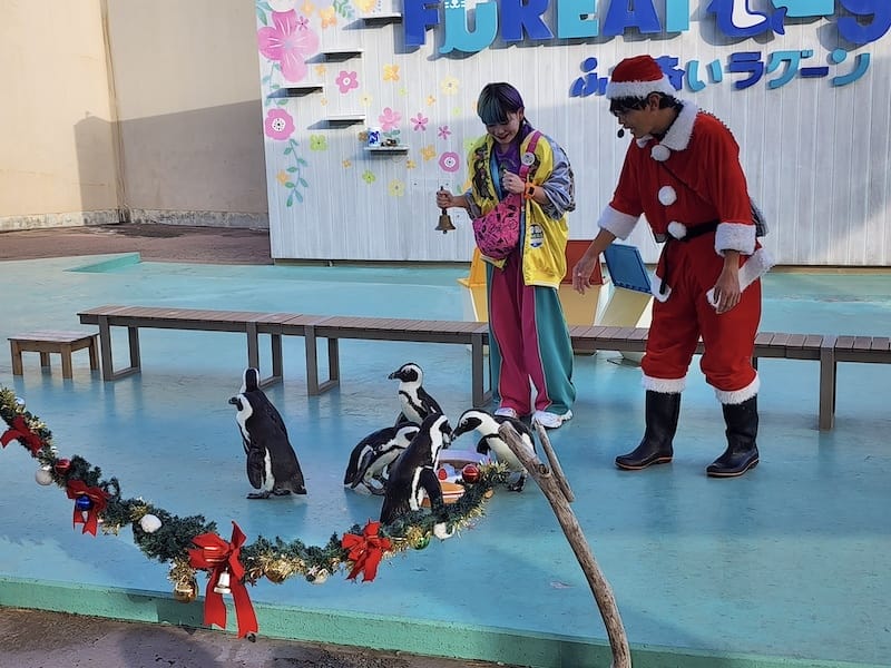 2023-11-21 東京親子賞楓旅Day3 橫濱八景島海島