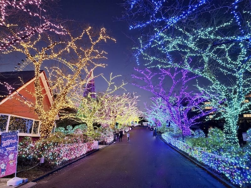 2023-11-22 東京賞楓旅Day4-2 夜訪讀賣樂園(