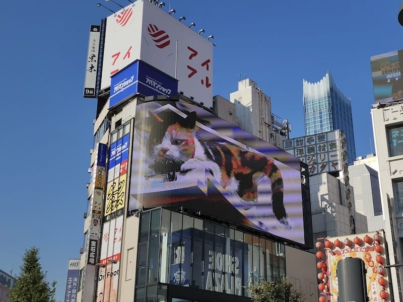 2023-11-22 東京賞楓旅Day4-1 富岡八幡宮+新 2023-11-22 東京賞楓旅Day4-1 富岡八幡宮+新